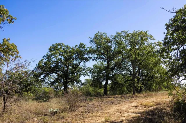 a big yard with lots of green space and tiles