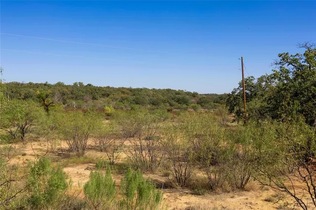 a view of a large tree in front of a yard
