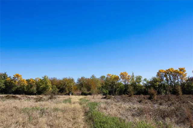 a view of a yard with plants and trees