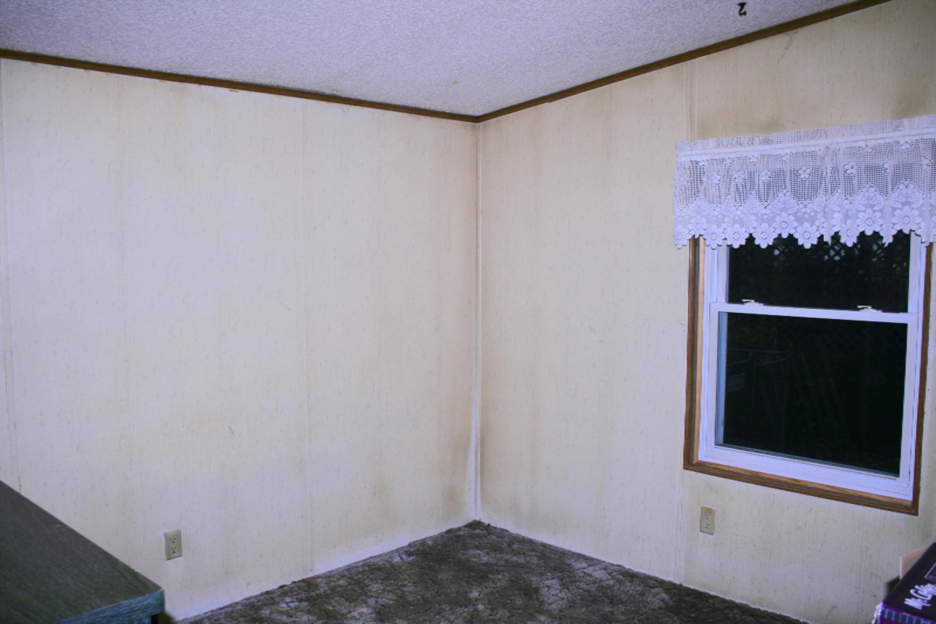 397 3rd Street Sunfield, MI 48890 - Photo 16 of 53 IMG_3713
