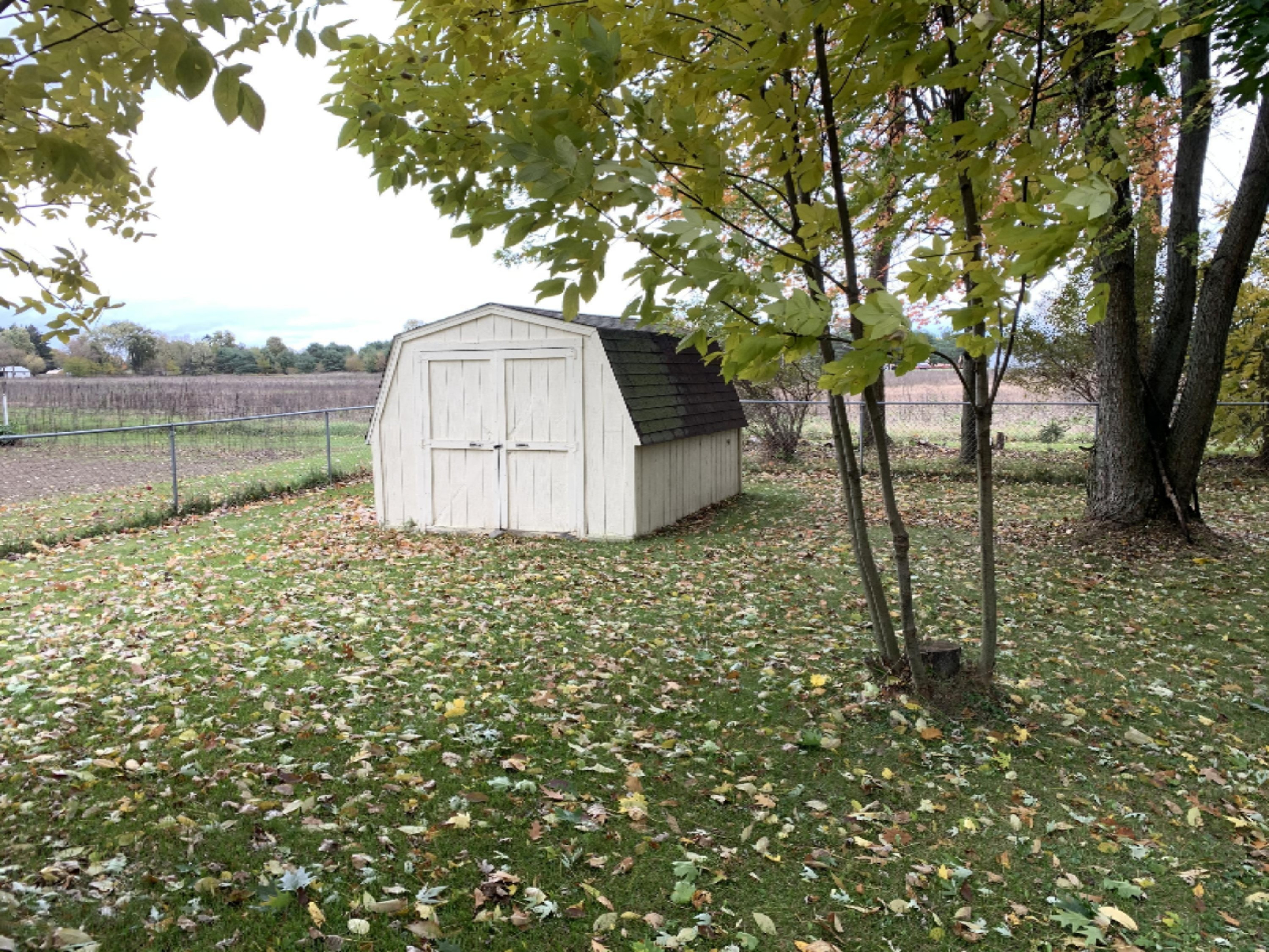 397 3rd Street Sunfield, MI 48890 - Photo 43 of 53 IMG_1167