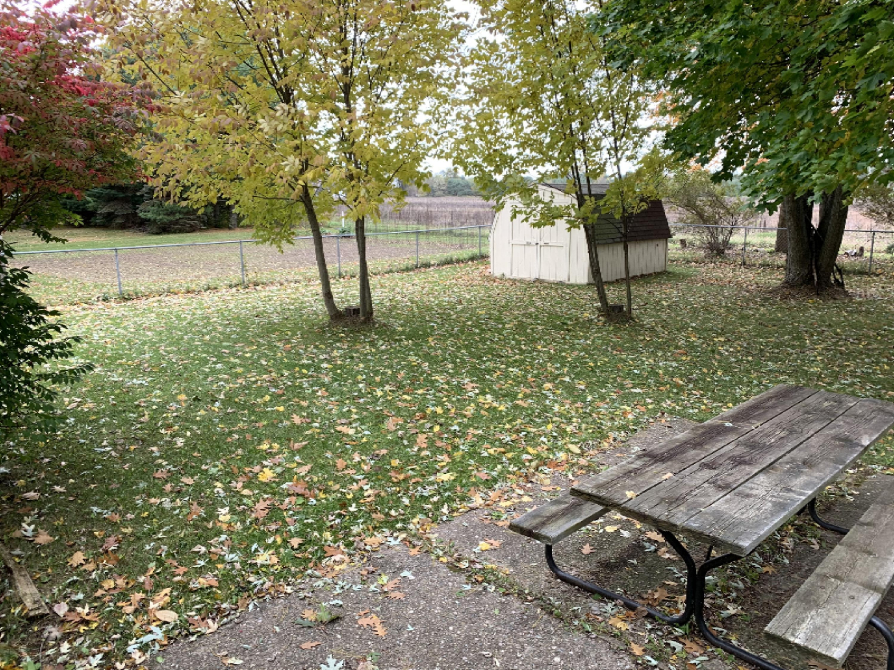 397 3rd Street Sunfield, MI 48890 - Photo 45 of 53 IMG_1173