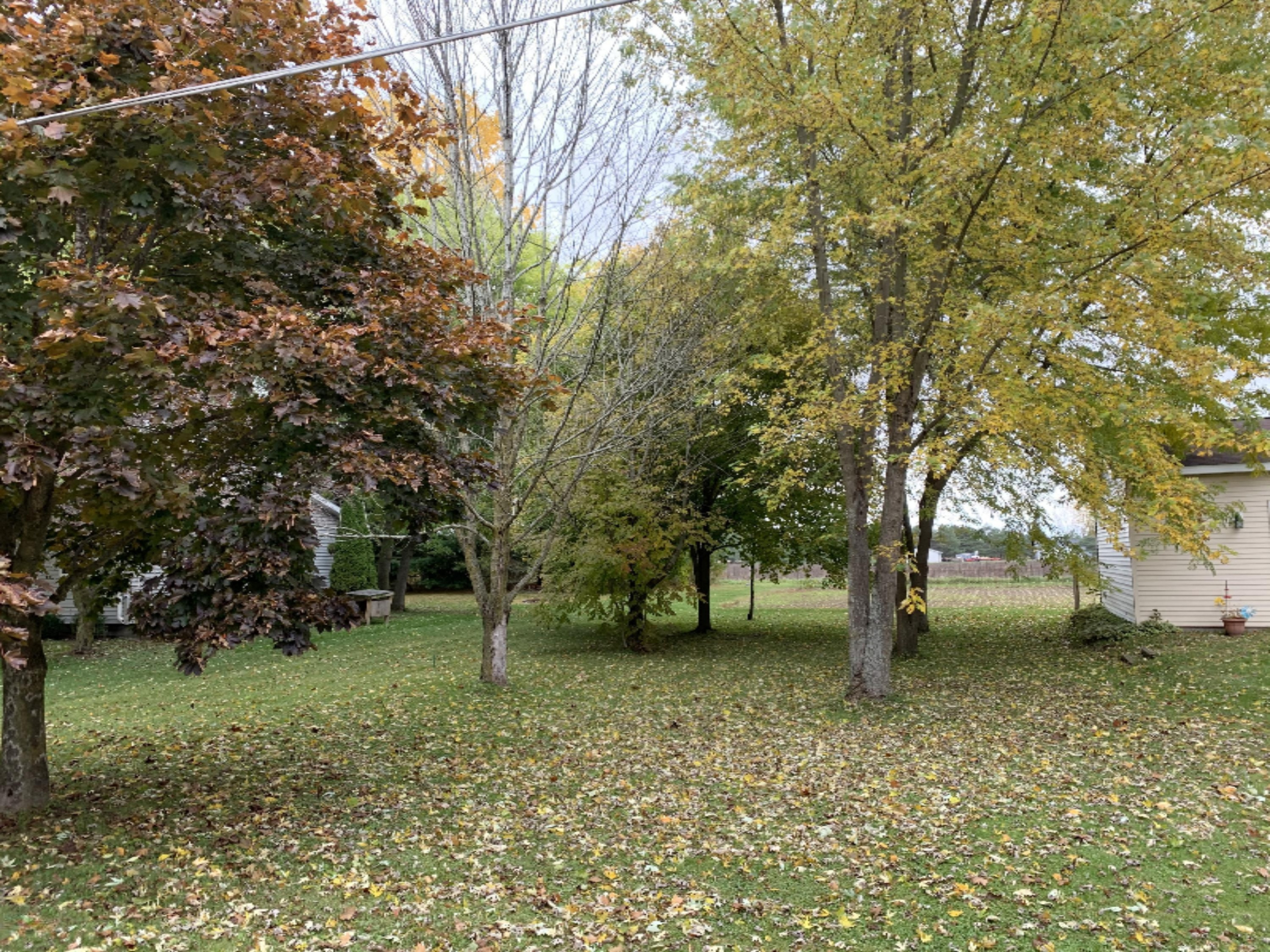 397 3rd Street Sunfield, MI 48890 - Photo 49 of 53 IMG_1178