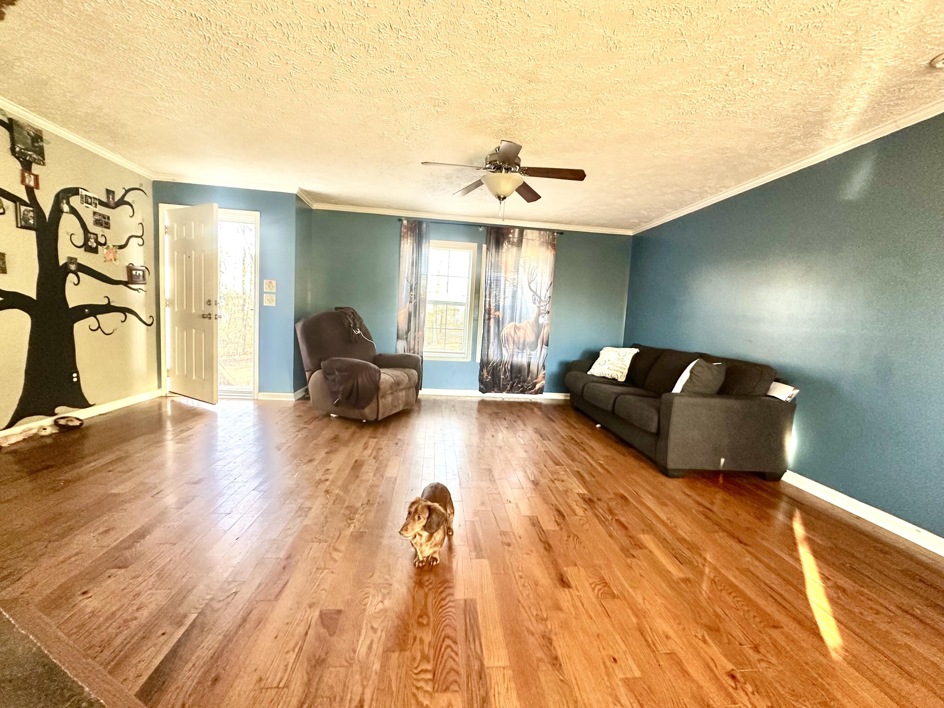 1209 Daniels Road Trenton, GA 30752 - Photo 3 of 14 IMG_0555