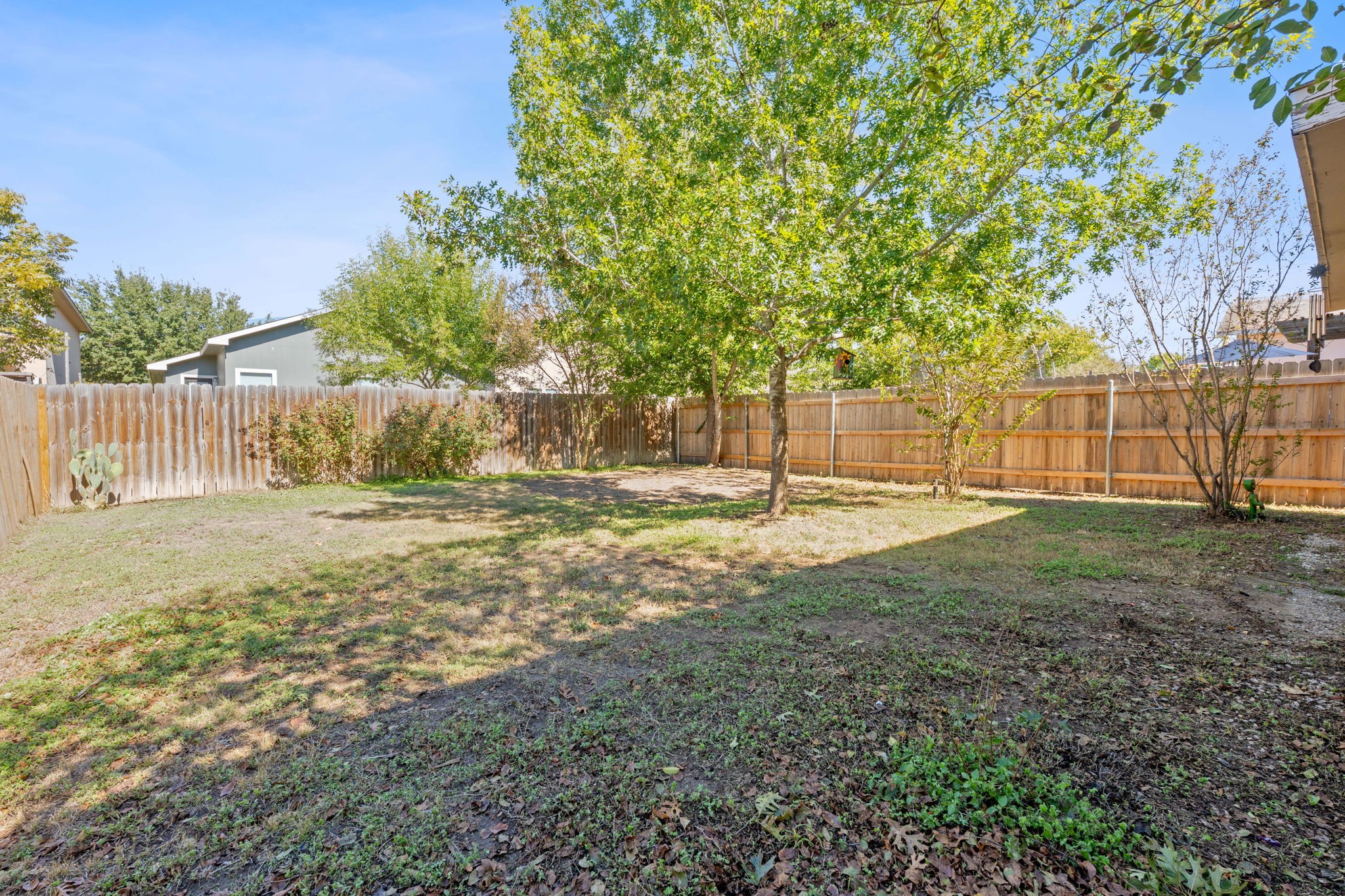 229 Black Forest Road Buda, TX 78610 - Photo 30 of 32 Spacious backyard offers plenty of shade and outdoor living space.