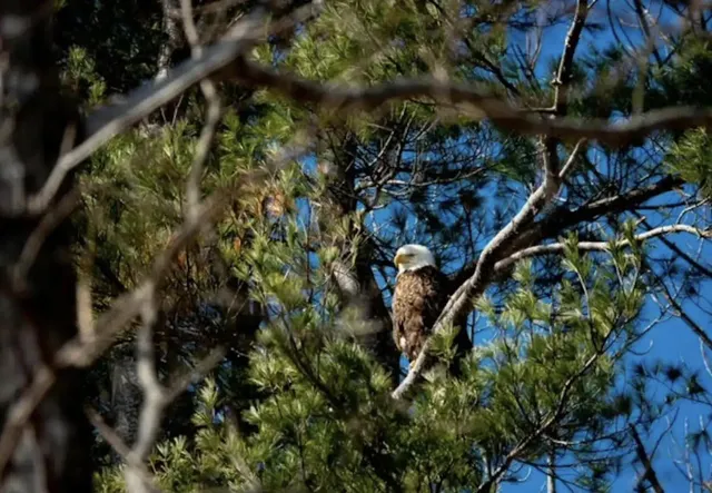 $395,000 | 140 Pleasant Street, Richmond, ME 04357