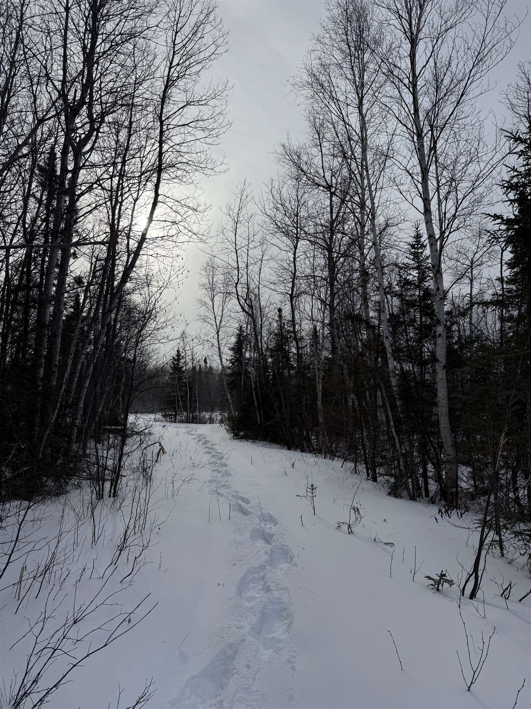 Xxx Zekes Road Schroeder, MN 55613 - Photo 13 of 35