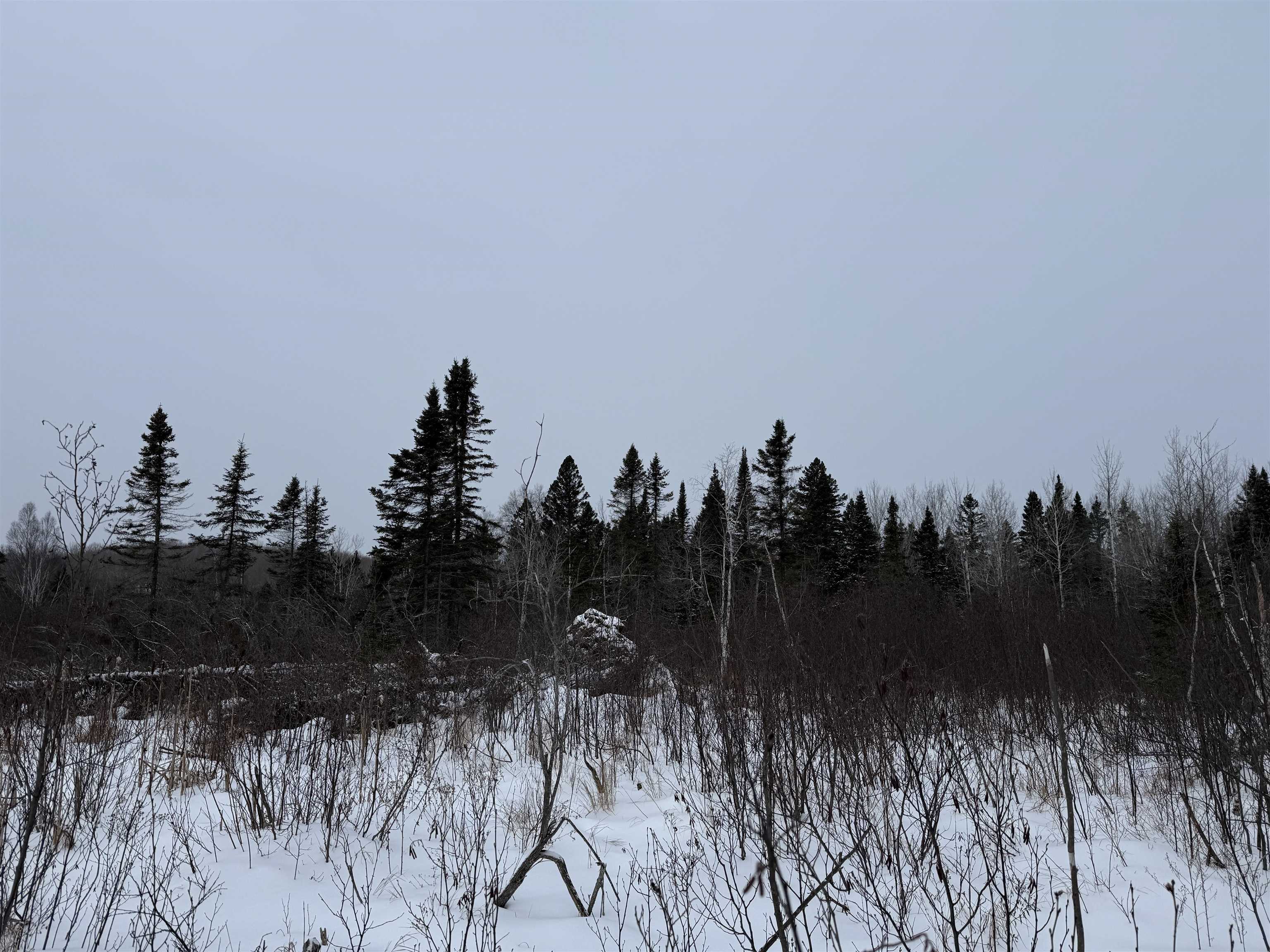 Xxx Zekes Road Schroeder, MN 55613 - Photo 16 of 35 Snowy landscape featuring a view of trees