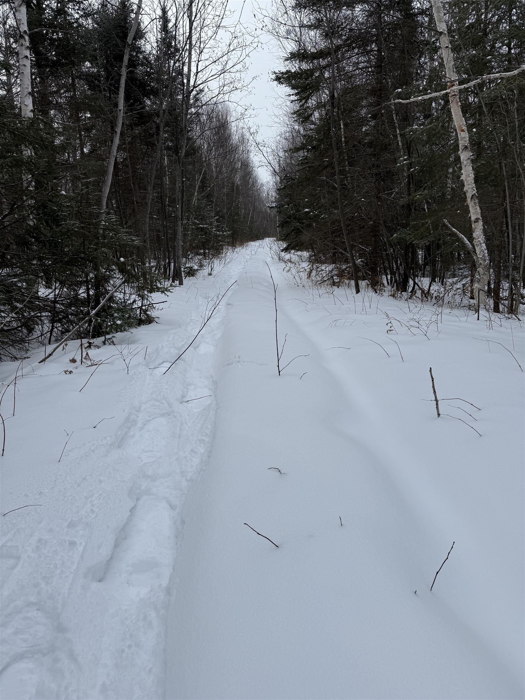 Xxx Zekes Road Schroeder, MN 55613 - Photo 17 of 35 Zekes Road on property.