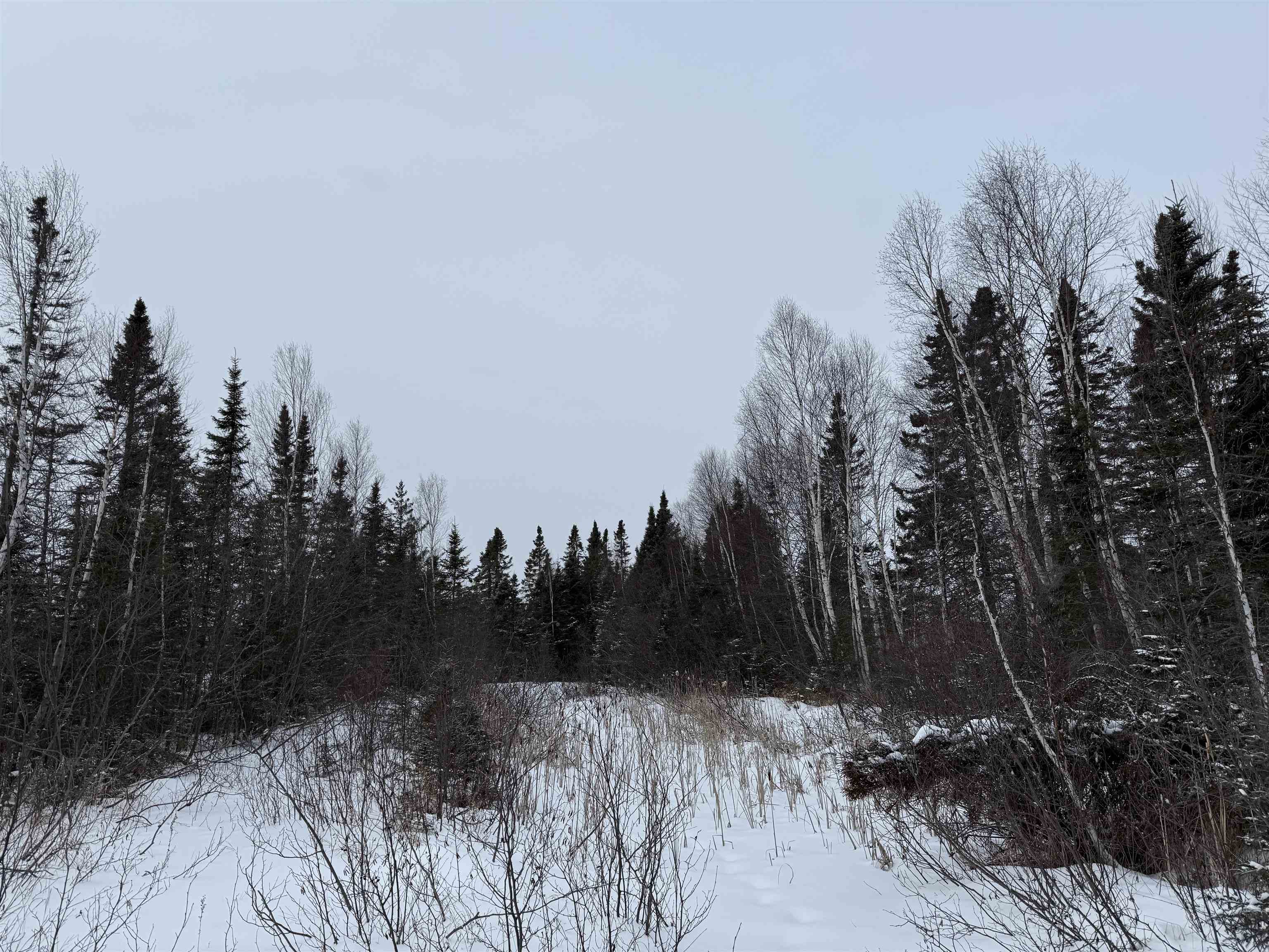 Xxx Zekes Road Schroeder, MN 55613 - Photo 19 of 35