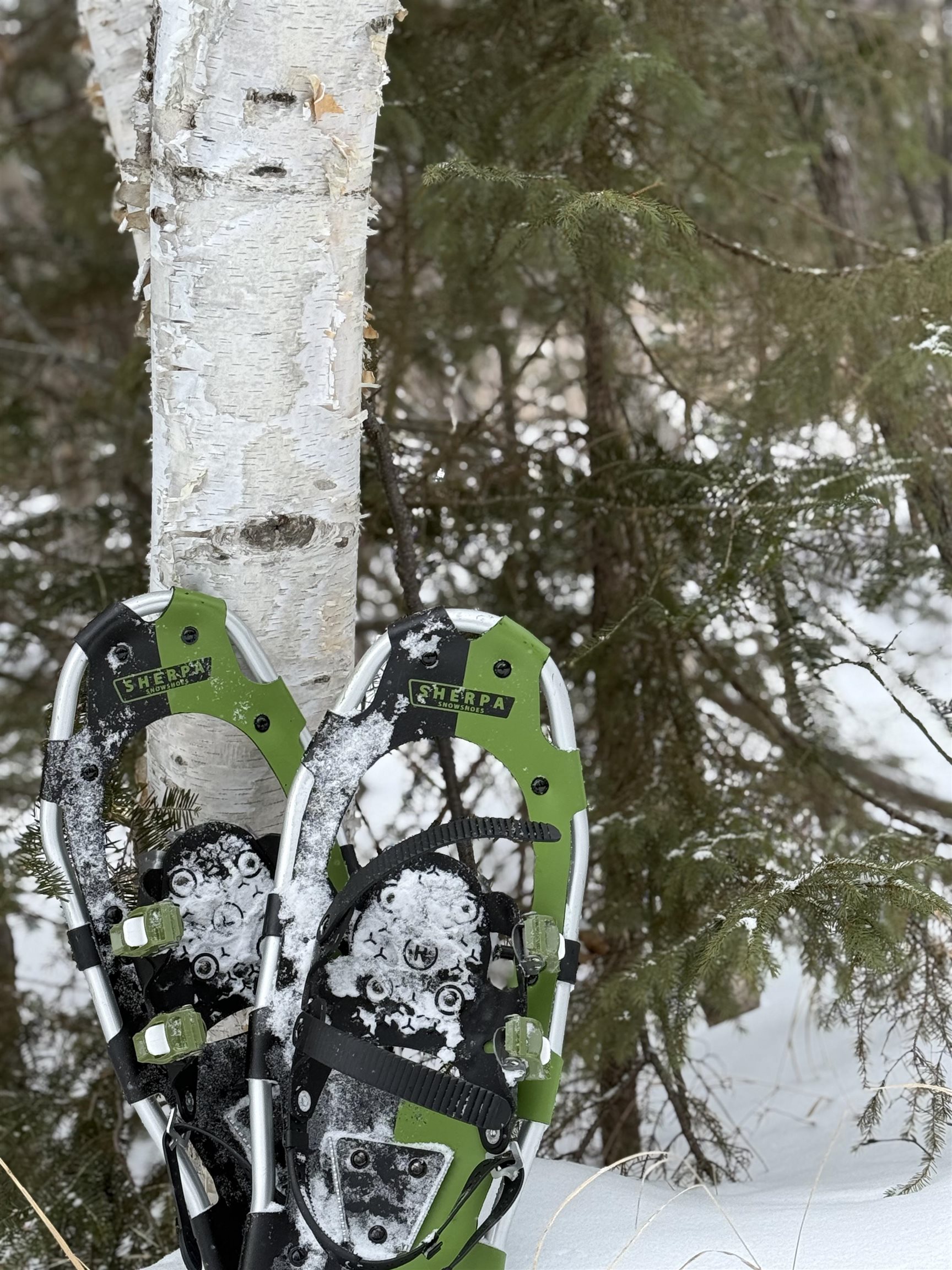 Xxx Zekes Road Schroeder, MN 55613 - Photo 22 of 35 A phenomenal snowshoeing retreat.