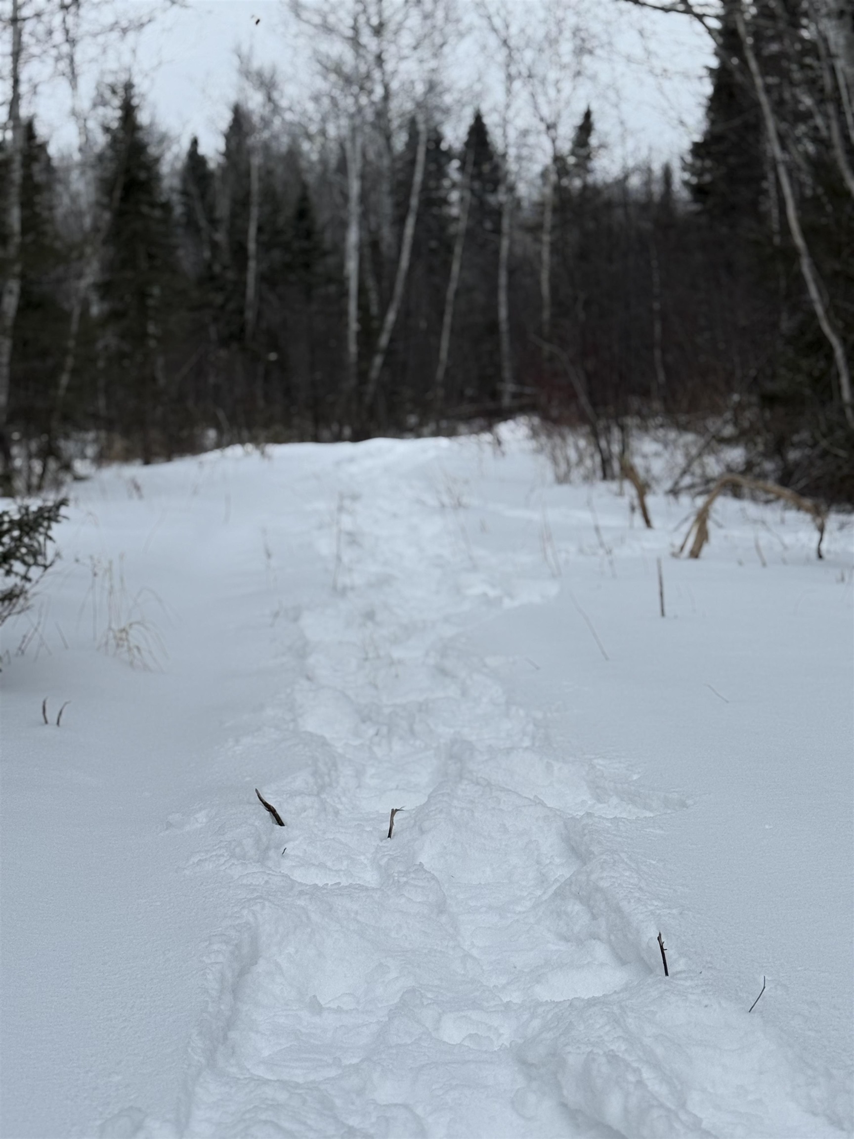 Xxx Zekes Road Schroeder, MN 55613 - Photo 23 of 35