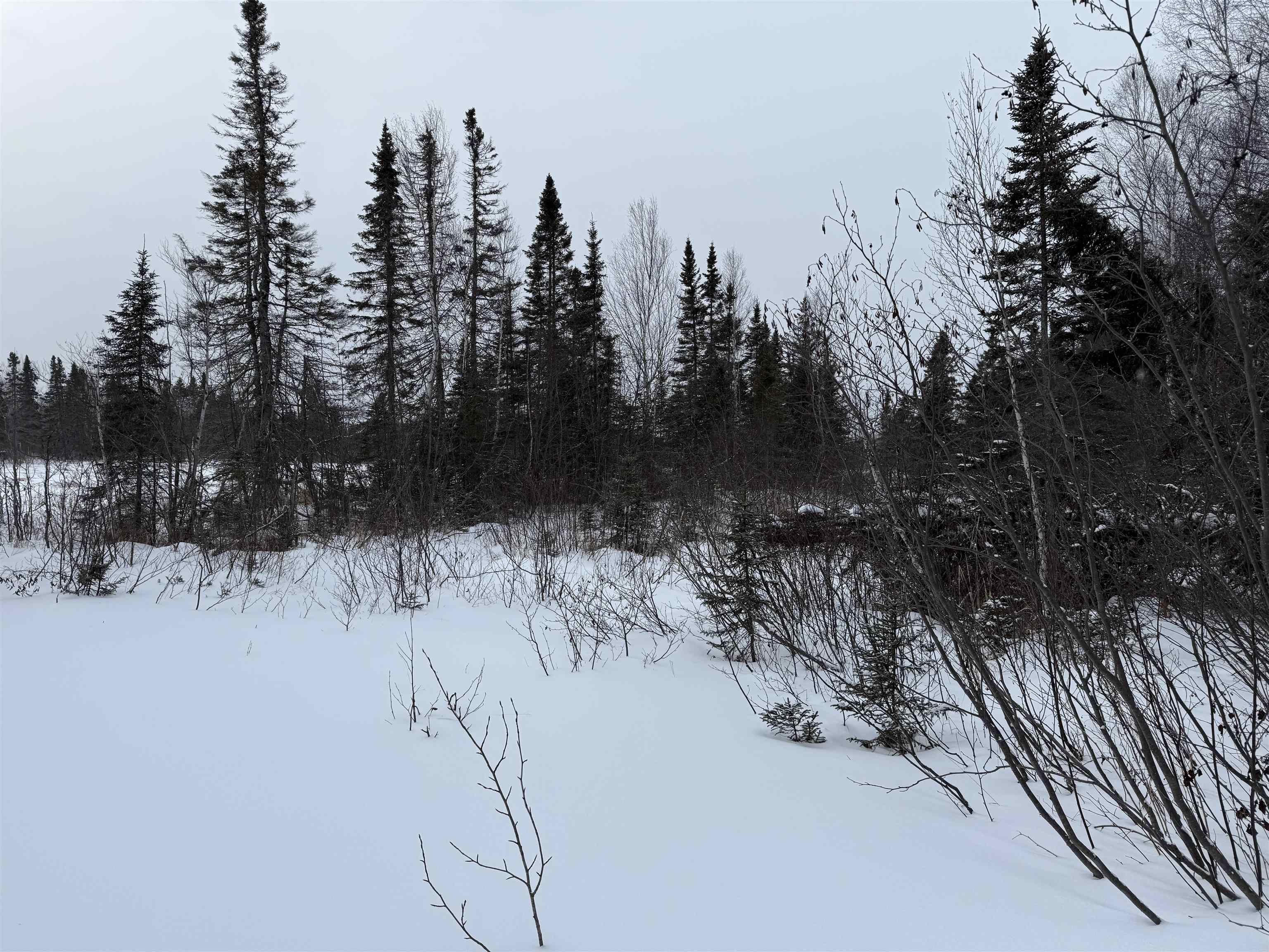 Xxx Zekes Road Schroeder, MN 55613 - Photo 24 of 35