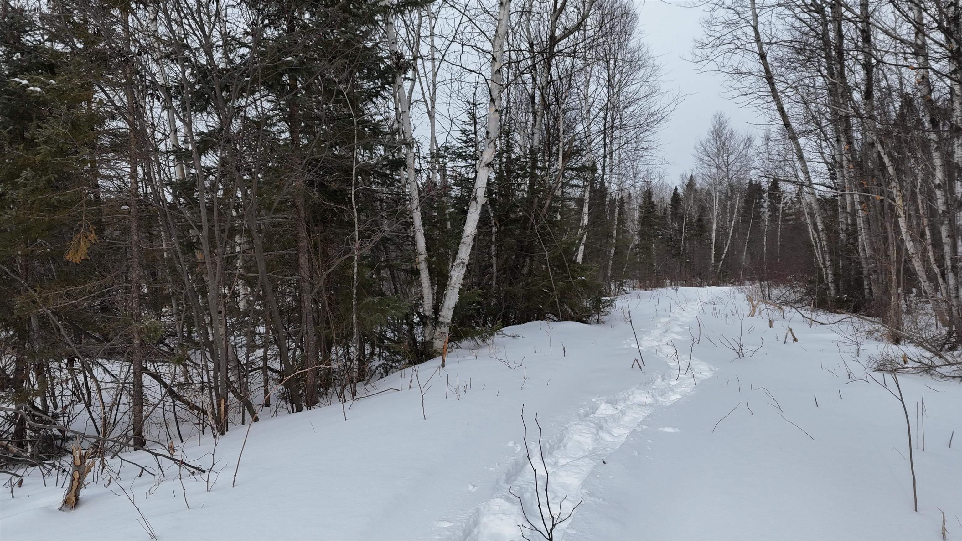 Xxx Zekes Road Schroeder, MN 55613 - Photo 32 of 35