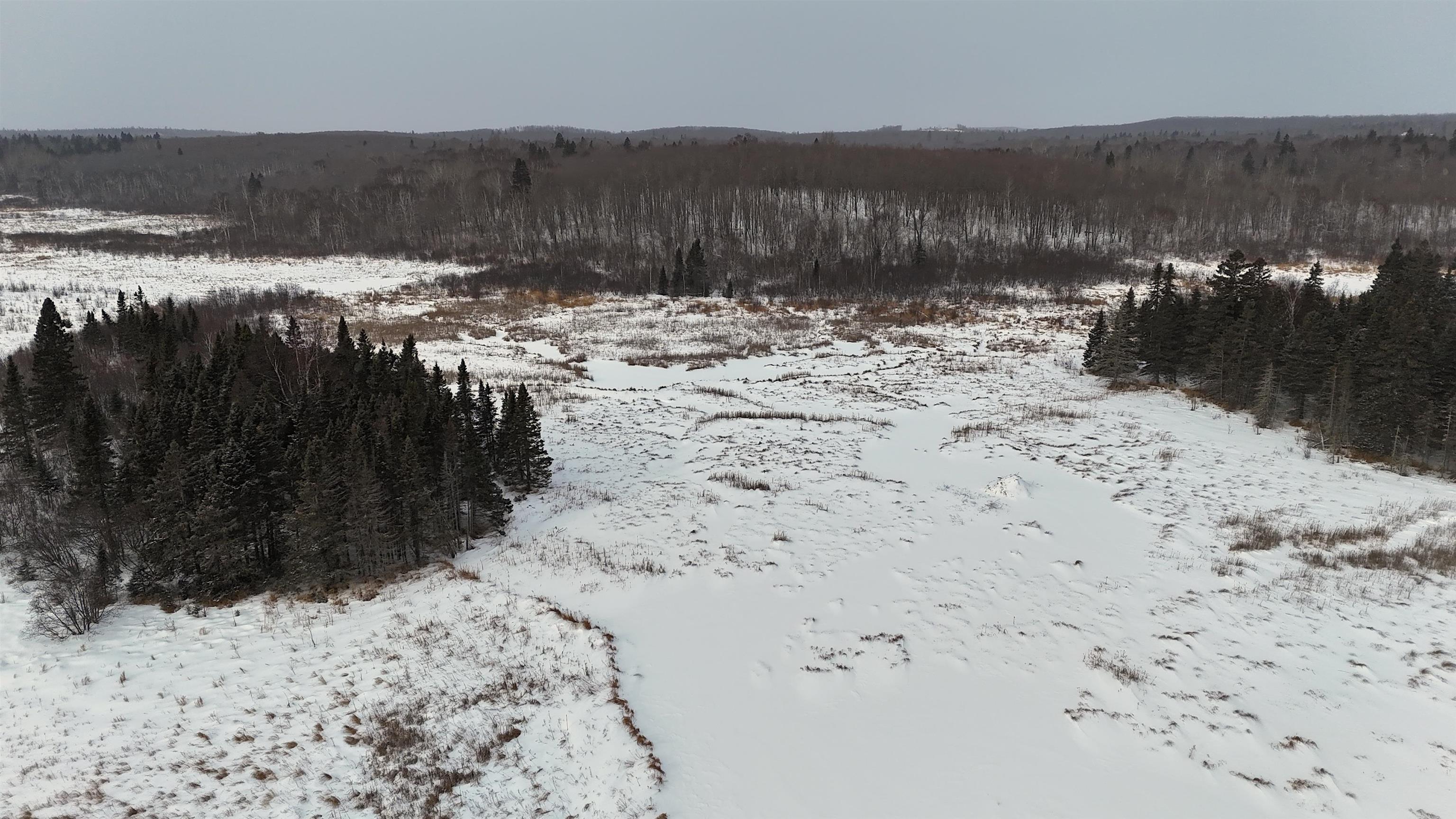 Xxx Zekes Road Schroeder, MN 55613 - Photo 33 of 35 Variety of terrain throughout this acreage.JPG