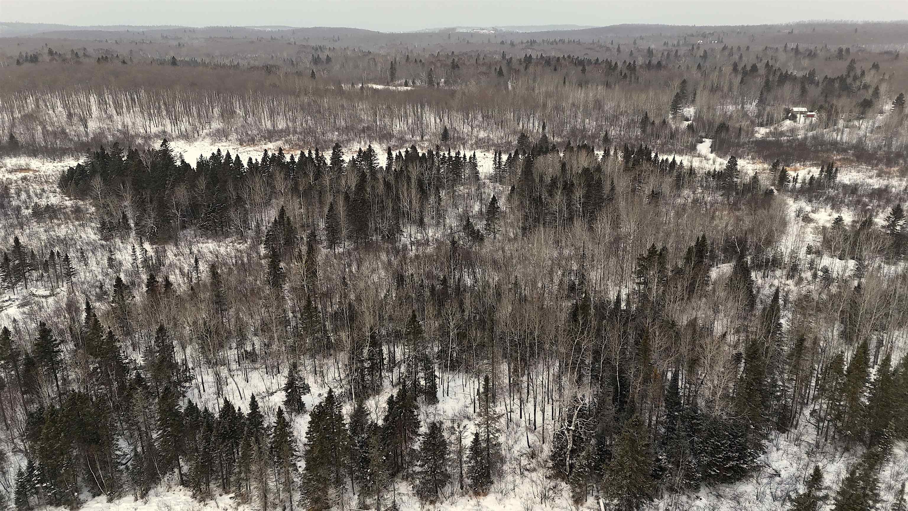 Xxx Zekes Road Schroeder, MN 55613 - Photo 35 of 35 The perfect blend of high and low ground.