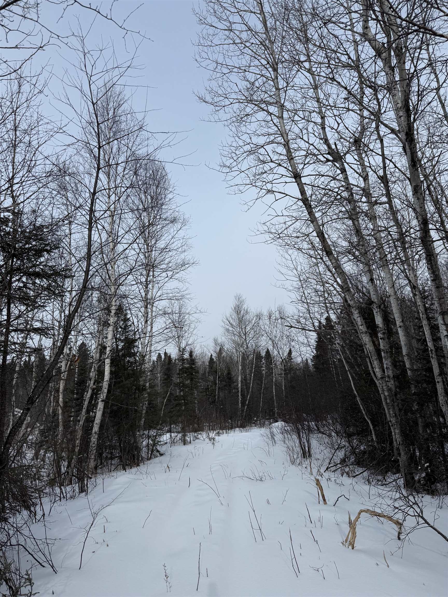 Xxx Zekes Road Schroeder, MN 55613 - Photo 7 of 35