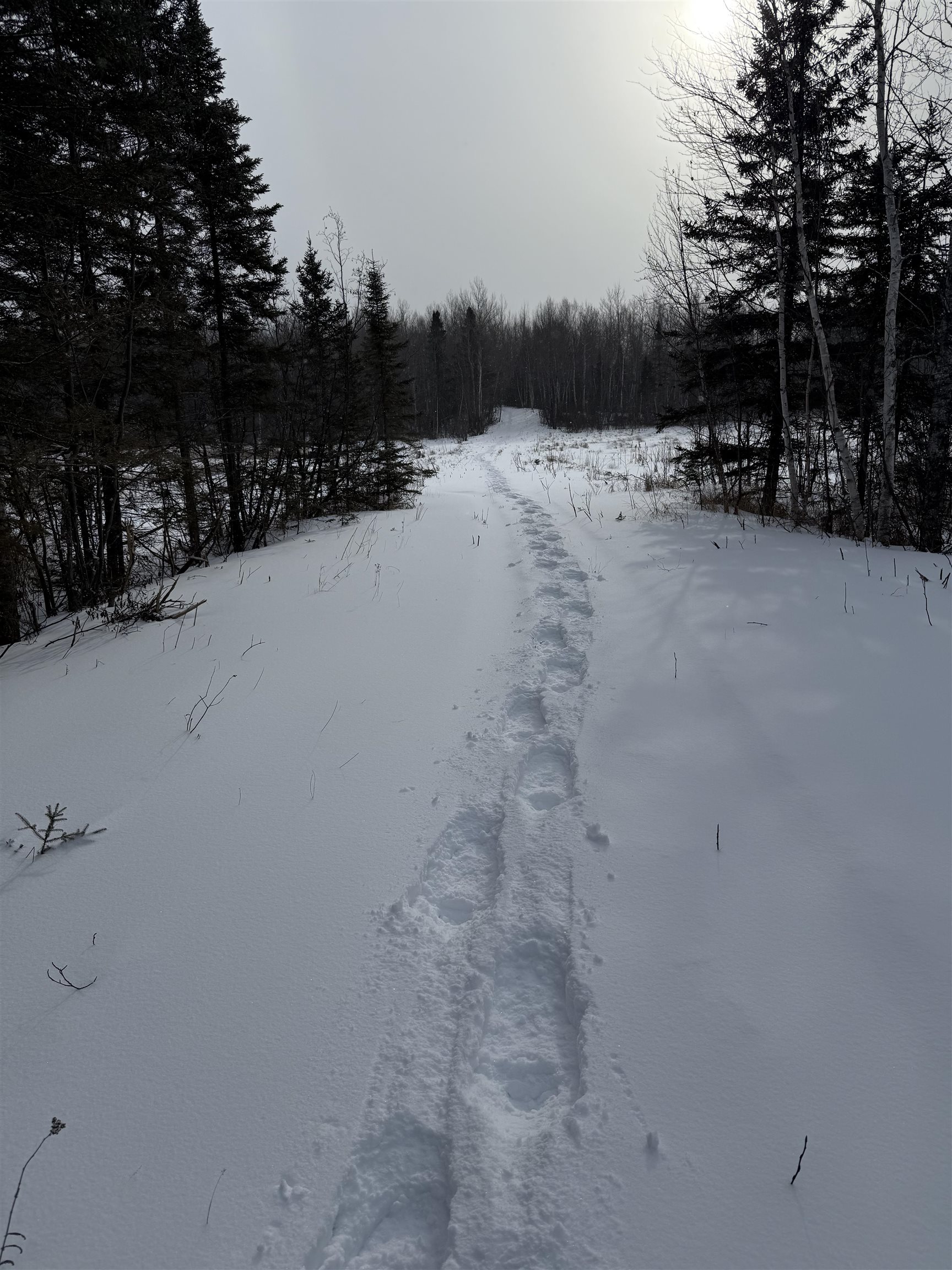 Xxx Zekes Road Schroeder, MN 55613 - Photo 10 of 35