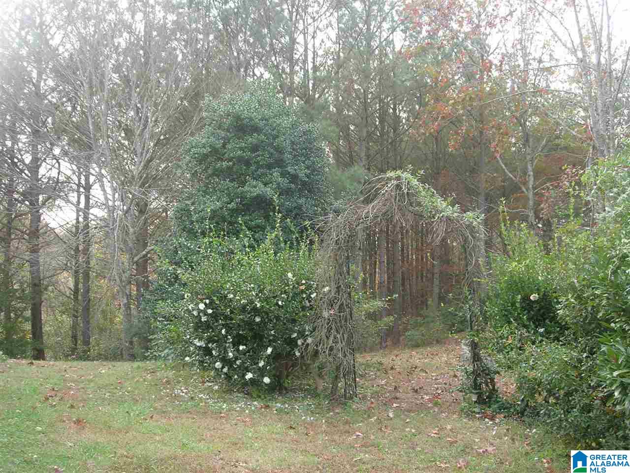 2303 Murphrees Valley Road Springville, AL 35146 - Photo 28 of 40 Gallery Image 28