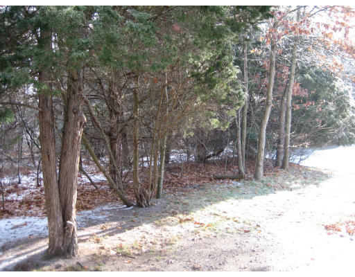 35 Quisset Brook Road, Unit 35 Milton, MA 02186 - Photo 4 of 10 Gallery Image 4