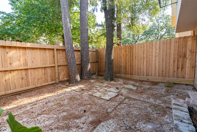 a view of a small garden