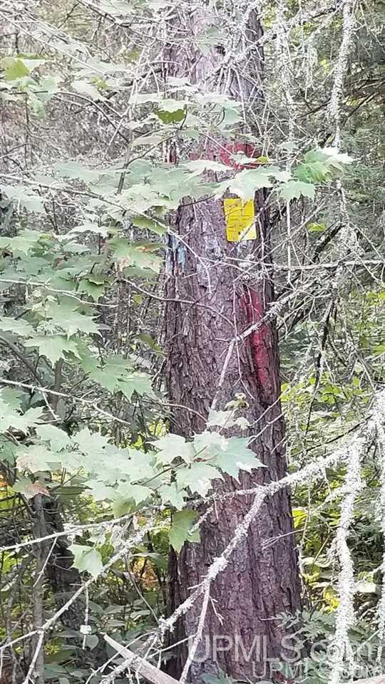Tbd Fishing Site Road, Unit 1 Amasa, MI 49903 - Photo 3 of 19