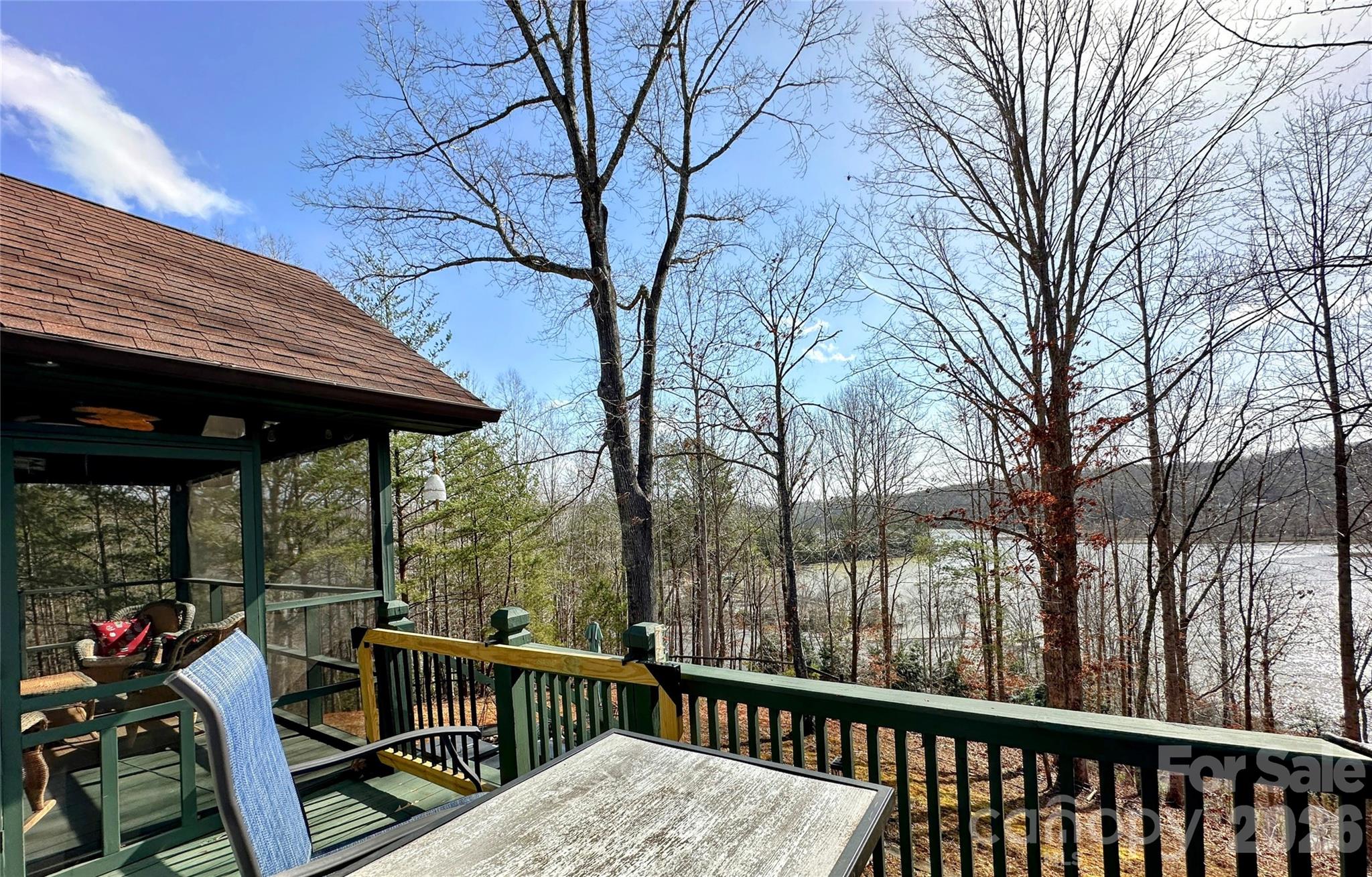 454 Fallen Tree Lane Mill Spring, NC 28756 - Photo 27 of 28