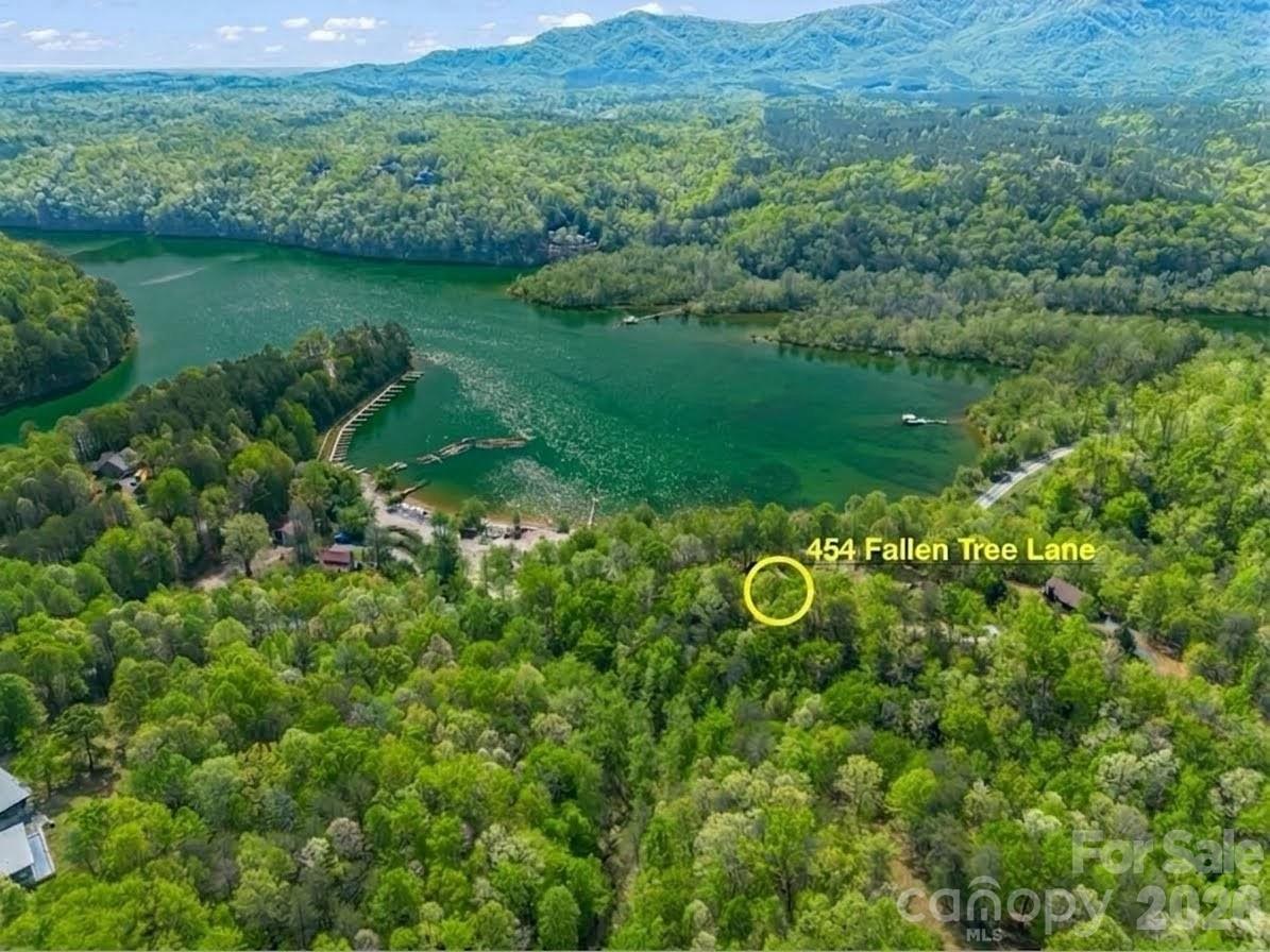 454 Fallen Tree Lane Mill Spring, NC 28756 - Photo 4 of 28