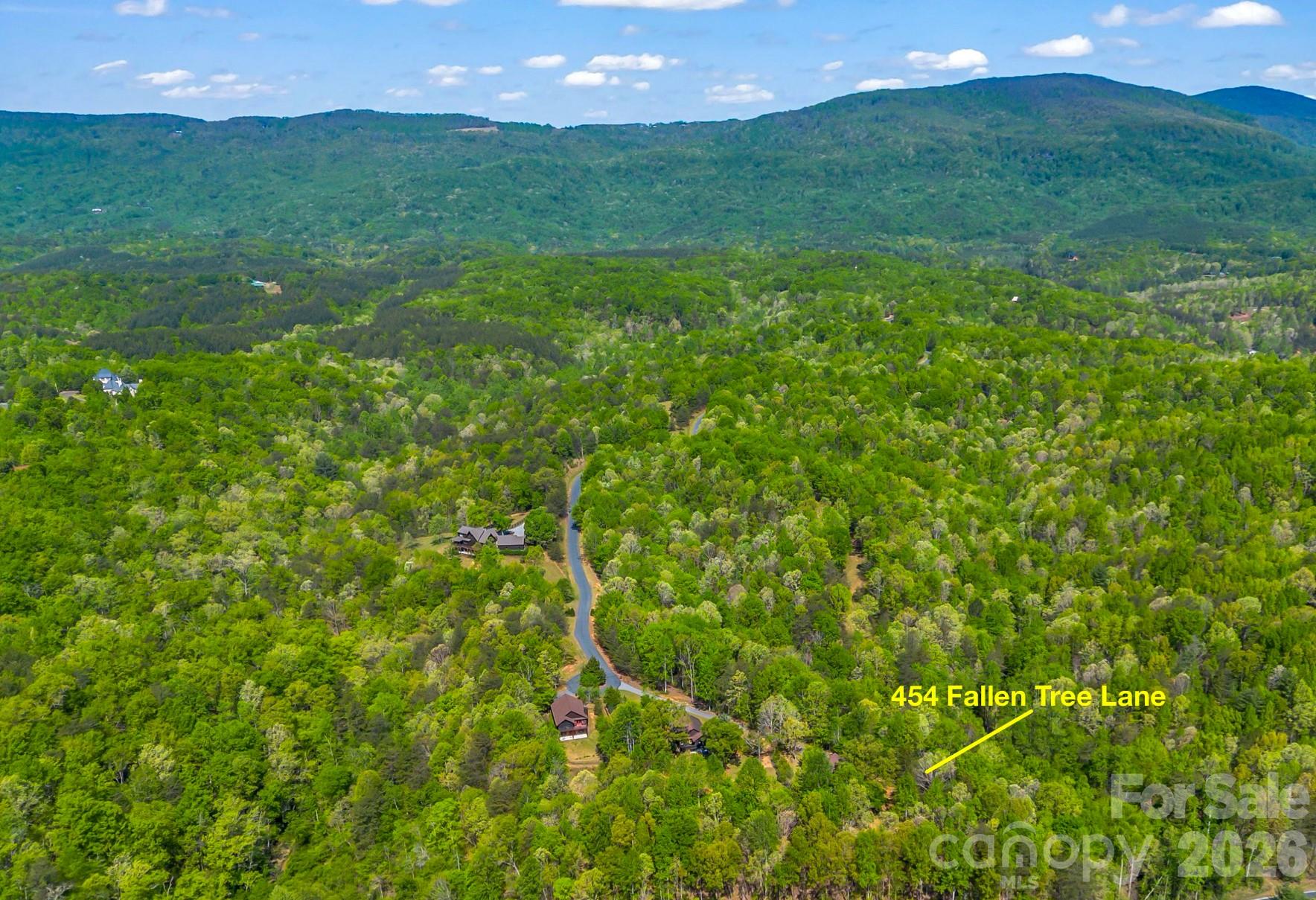 454 Fallen Tree Lane Mill Spring, NC 28756 - Photo 9 of 28