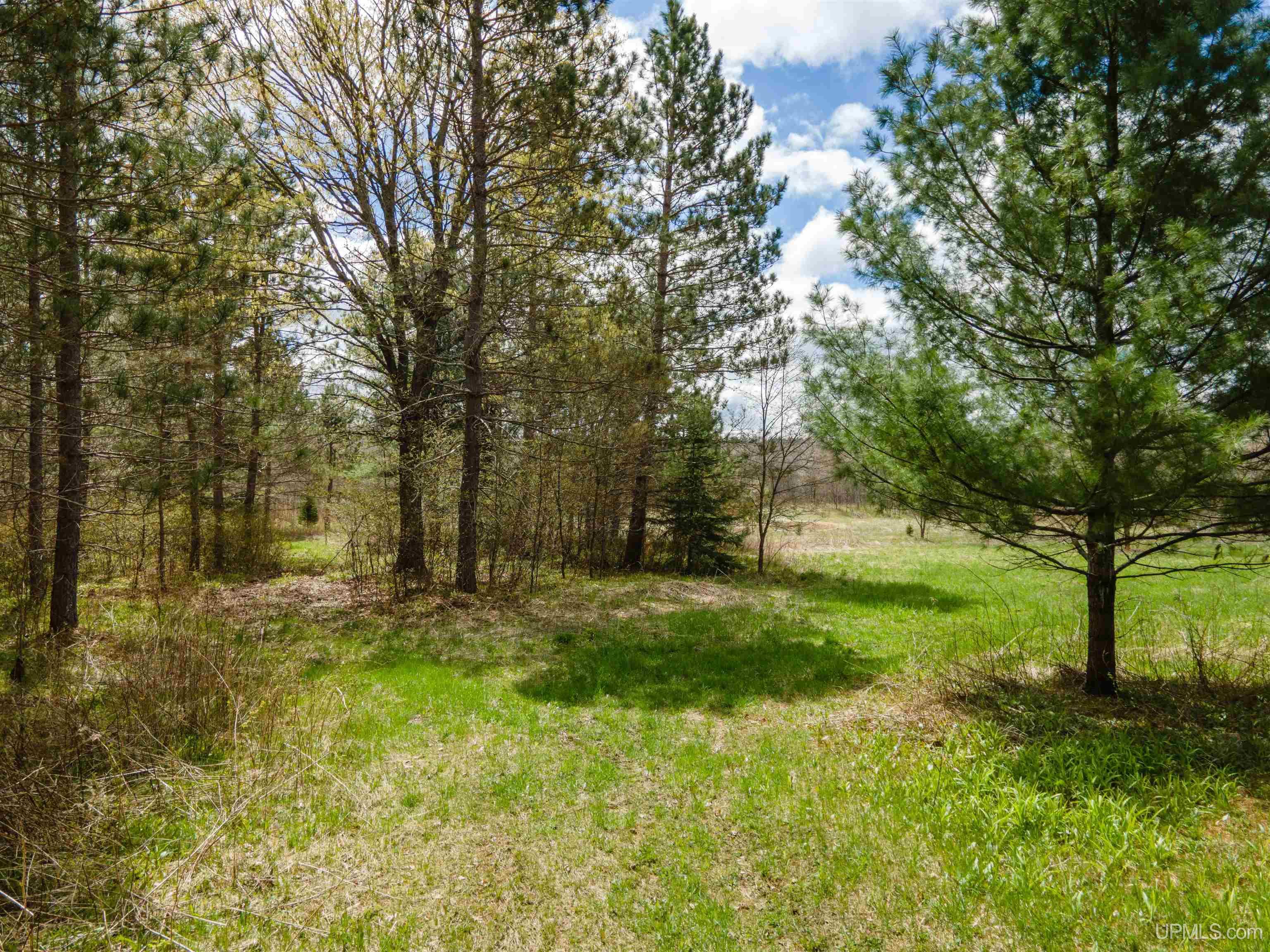 3 Easement Road, Unit LOT 3 Long Lake, WI 54542 - Photo 13 of 25