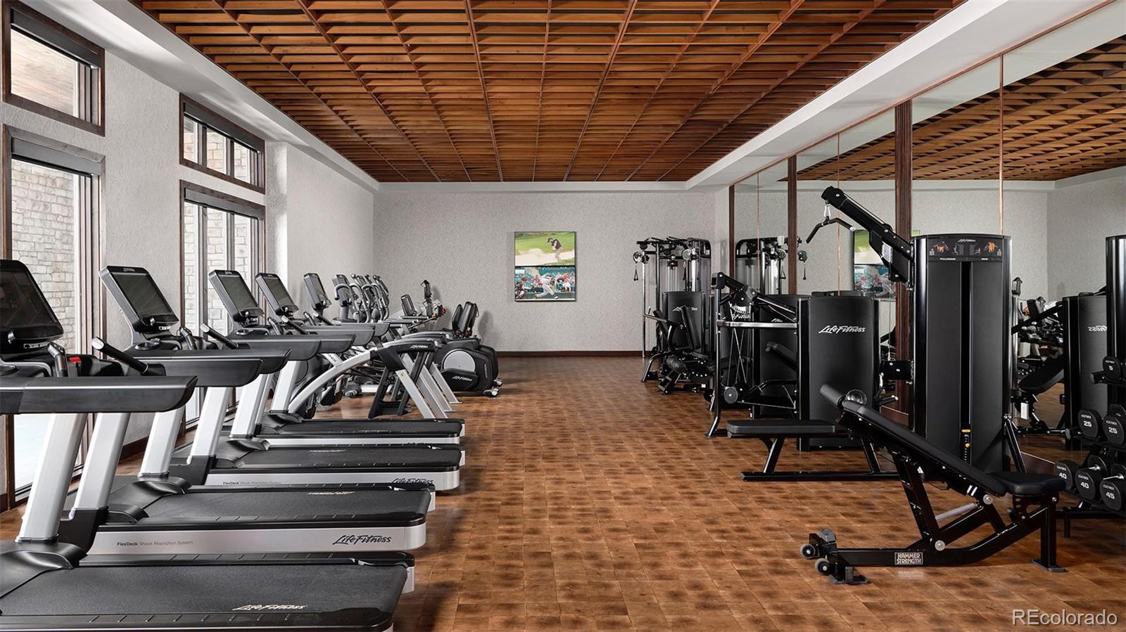506 Scrubjay Circle Castle Rock, CO 80104 - Photo 6 of 12 a view of a room with gym equipment