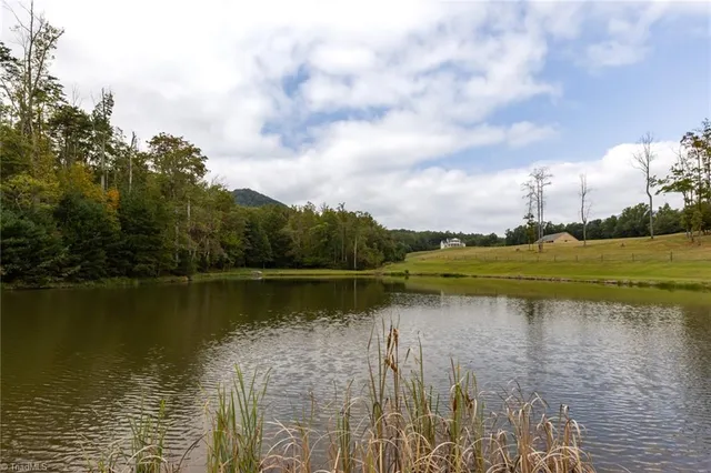 $2,699,000 | 204 Violet Rdg Trail, Lowgap, NC 27024