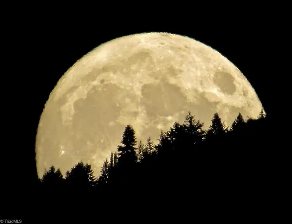 $2,499,000 | 204 Violet Rdg Trail, Lowgap, NC 27024