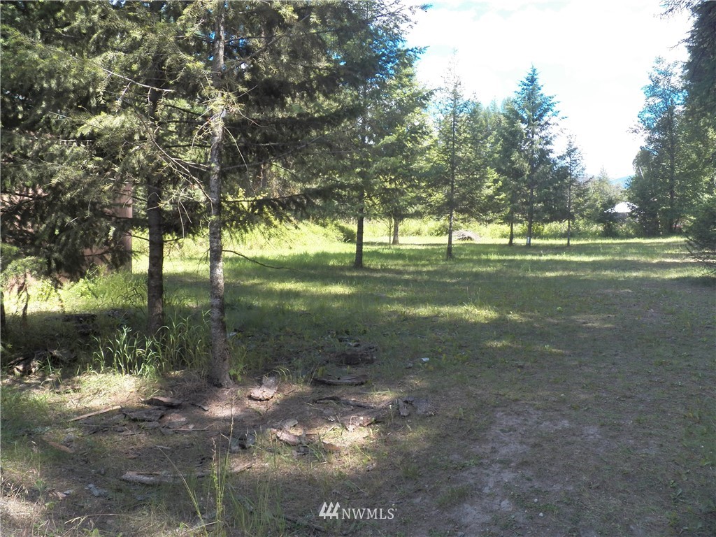 195 Lambert Creek Road Republic, WA 99166 - Photo 22 of 24 Gallery Image 22