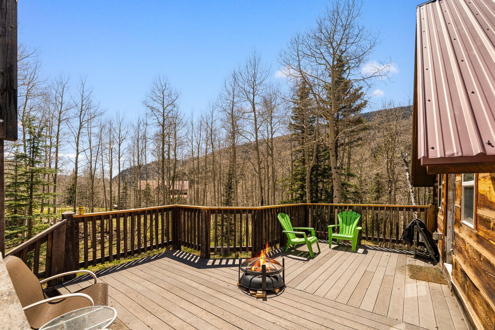 454 Silverglance Way Rico, CO 81332 - Photo 10 of 28 454 Silverglance