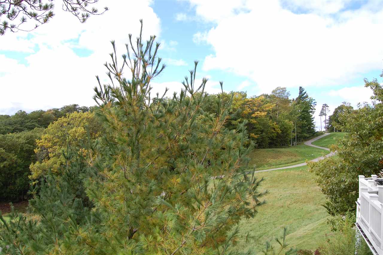 3 Chimney Ridge Maple City, MI 49664 - Photo 8 of 63 1875189-9.JPG