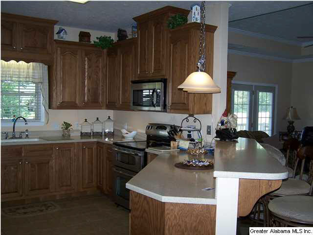 2066 Zion Hill Road Horton, AL 35980 - Photo 20 of 32