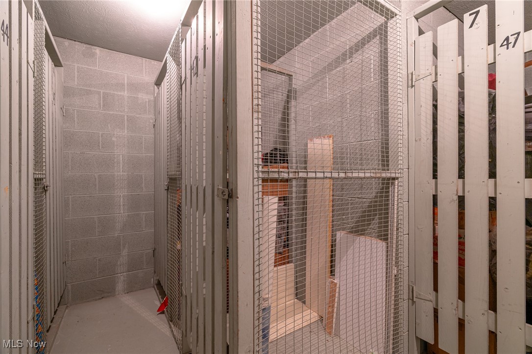 2089 Wooster Road, Unit C42 Rocky River, OH 44116 - Photo 28 of 43 Storage room locker on the same floor as the condo, just a couple of doors down