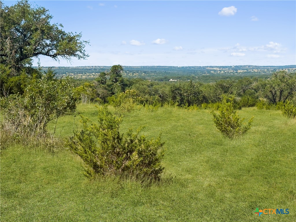 820 Stone Ridge Mountain Drive Round Mountain, TX 78663 - Photo 11 of 32