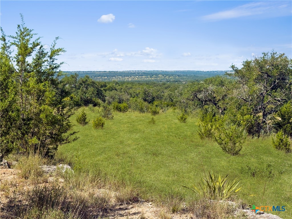 820 Stone Ridge Mountain Drive Round Mountain, TX 78663 - Photo 12 of 32 a view of a lush green space