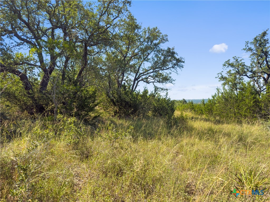 820 Stone Ridge Mountain Drive Round Mountain, TX 78663 - Photo 15 of 32 a view of a yard with a tree