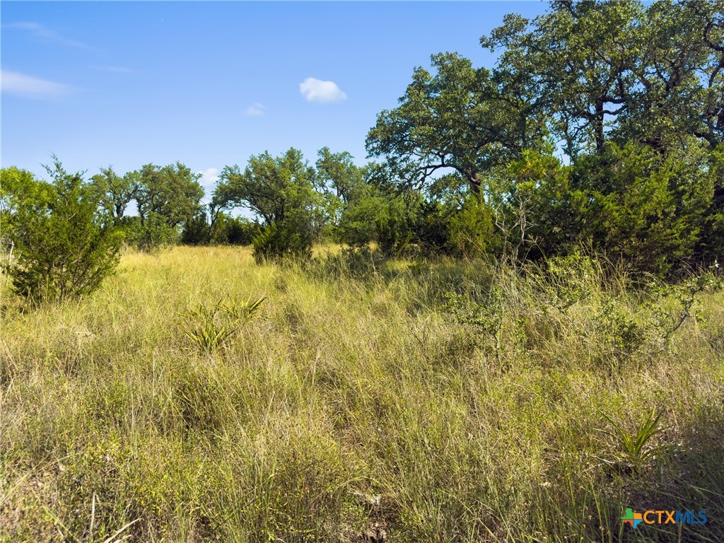 820 Stone Ridge Mountain Drive Round Mountain, TX 78663 - Photo 16 of 32 a view of a lake with a house