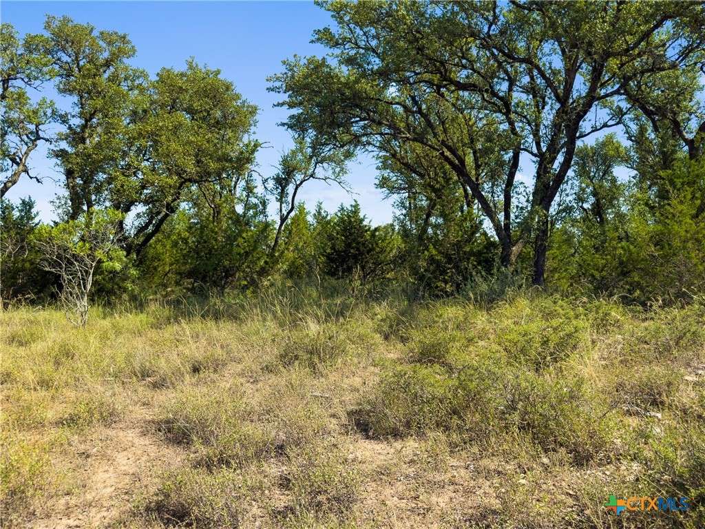 820 Stone Ridge Mountain Drive Round Mountain, TX 78663 - Photo 17 of 32 a view of a yard with plants and a bench