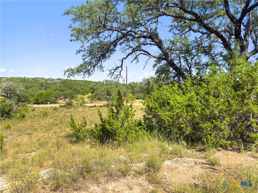 820 Stone Ridge Mountain Drive Round Mountain, TX 78663 - Photo 18 of 32 a view of lake view