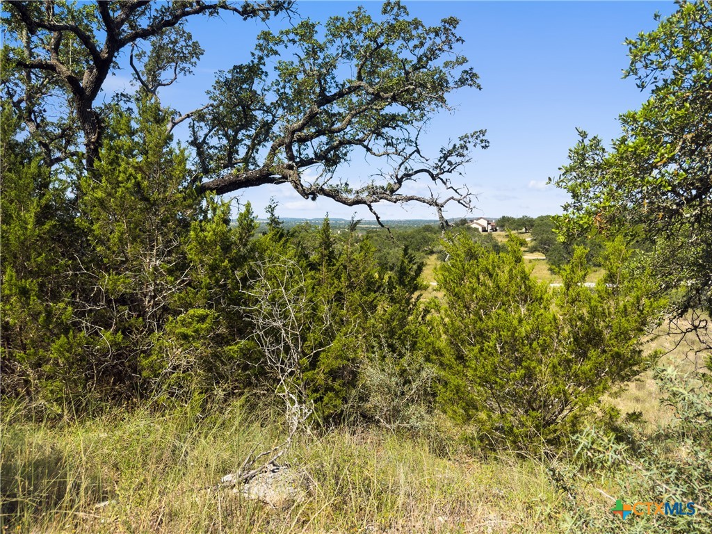 820 Stone Ridge Mountain Drive Round Mountain, TX 78663 - Photo 2 of 32 a view of a garden with a tree