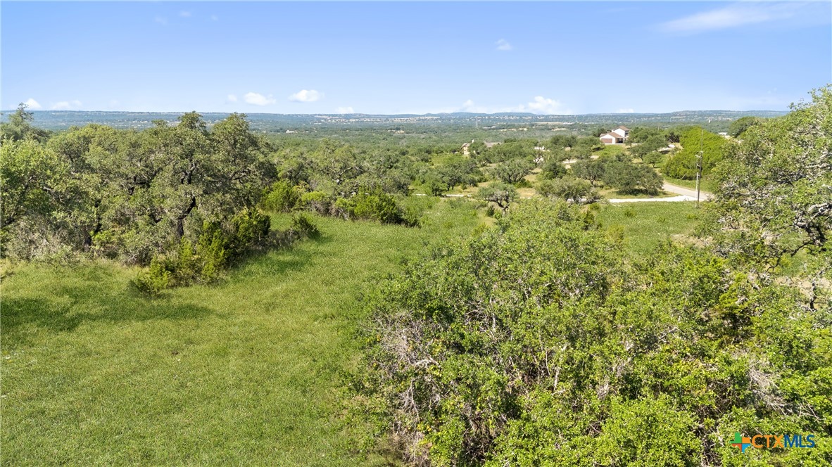 820 Stone Ridge Mountain Drive Round Mountain, TX 78663 - Photo 22 of 32 a view of an ocean