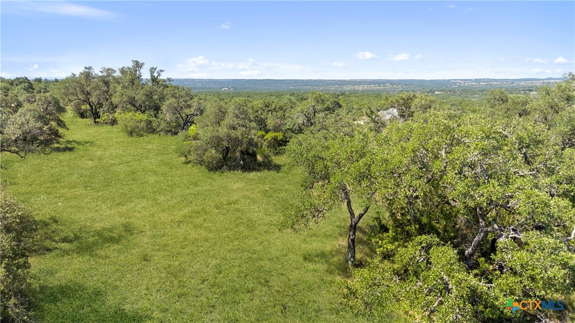 820 Stone Ridge Mountain Drive Round Mountain, TX 78663 - Photo 24 of 32 a view of an outdoor space and a yard