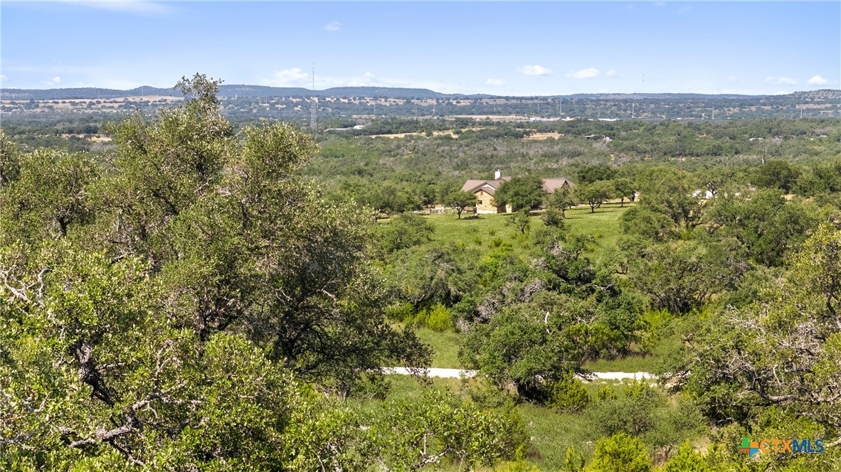 820 Stone Ridge Mountain Drive Round Mountain, TX 78663 - Photo 25 of 32 a view of a city