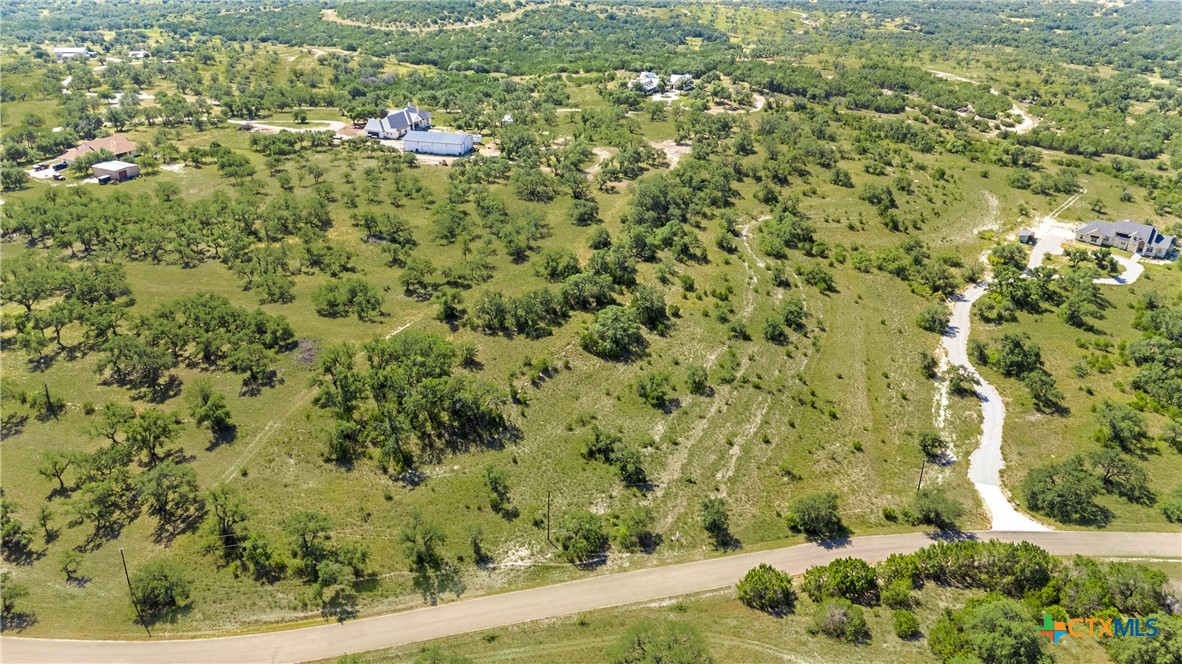 820 Stone Ridge Mountain Drive Round Mountain, TX 78663 - Photo 26 of 32 a view of a bunch of trees and bushes