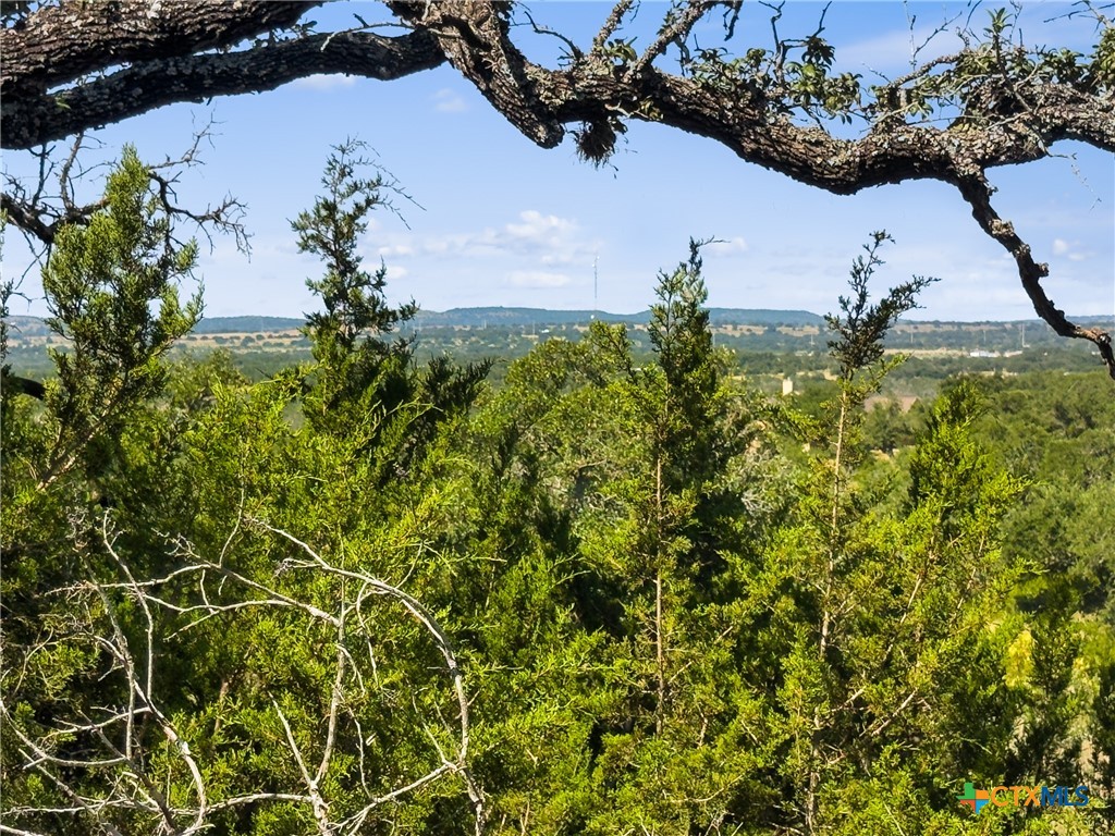 820 Stone Ridge Mountain Drive Round Mountain, TX 78663 - Photo 3 of 32 an aerial view of a houses with a yard